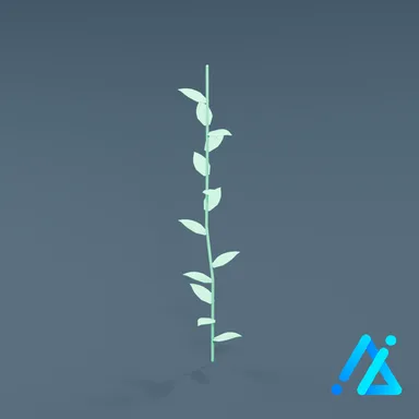 SM_coral_09