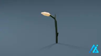 Cereals_03_A
