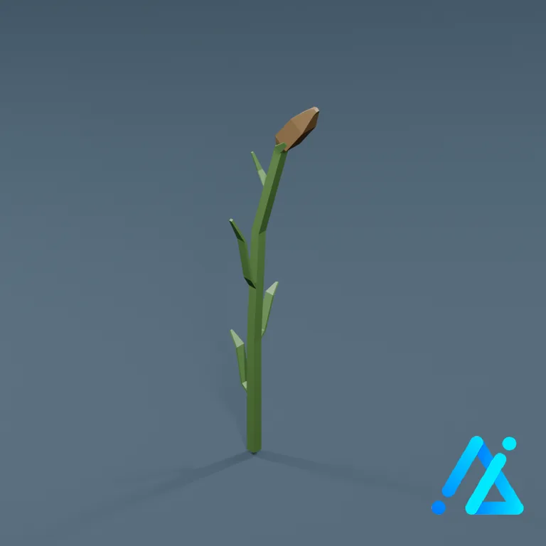 Cereals_04_B